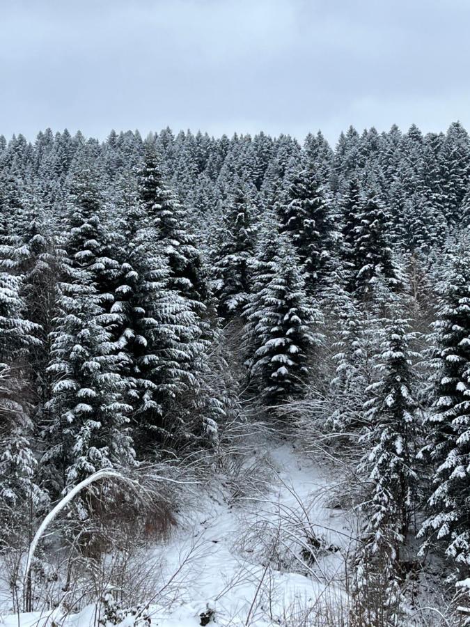 Belvedere-Karpaty-Panorama Skhidnytsia Luaran gambar